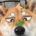 doggomcbork