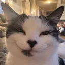 tagywagy