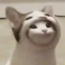 mitoforshort
