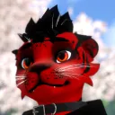 tigerxero