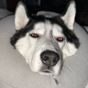 dhoward2305#3973's avatar