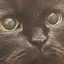 avatar TacticalTuxedo