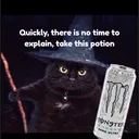 purrfectmistake