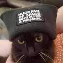 purrfectmistake