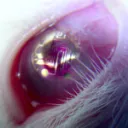 _slyphic