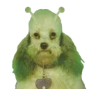 datboi_fourtwenty