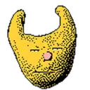 toemash