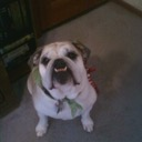 blitzmonkey#1667's avatar