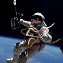 chimpin#4495's avatar