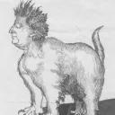 hong rengan's Avatar