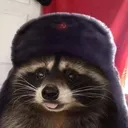 roosdev