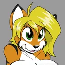 tabykat