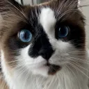 ericktrify
