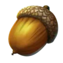 acorn1010