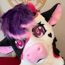 smol_doe