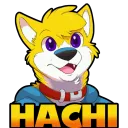 hachi_shibaru