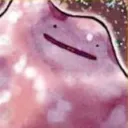 nintango64