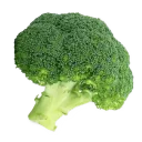 polvo