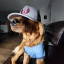 rebeljay