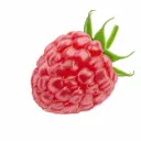 raspberryjr