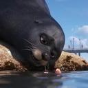 Mr_McFloppy profile