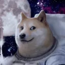 dogekami