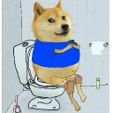 bitcoinboi
