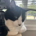 goodknight_tv