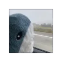 ptrpaws