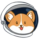 bokkychoy