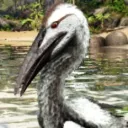 sandbox_fbird