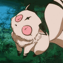 iimeow
