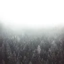 sielulintu