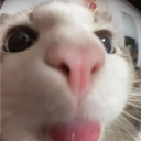 tristwin.'s Avatar