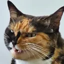 pseek