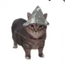 allegedgamer