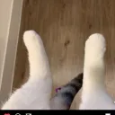 olafnub