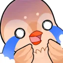 coppersparrow