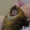 emirinsama member profile picture