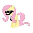 ponywarrior