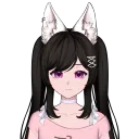 maehara.nori