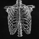 avatar ꜱᴘᴇᴄɪᴍᴇɴ