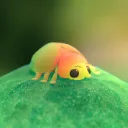 gooeyed