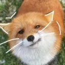 arksurvivalevolved