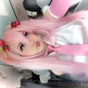 fairybunnycat