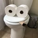 tielerferg