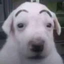 sirplays
