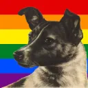 laika_the_spacedog