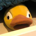 0cclusion
