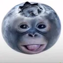 mrwoozy